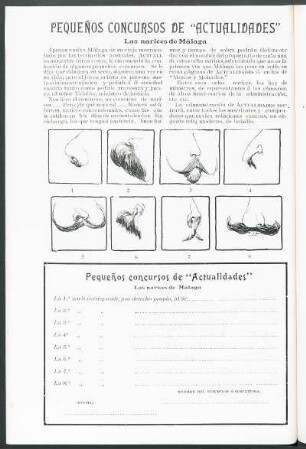 Pequeños concursos de "Actualidades" - Las narices de Málaga.