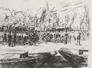 Rindermarkt in Leiden