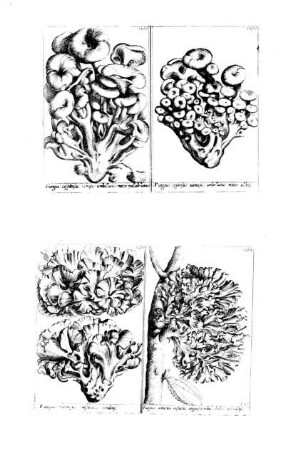 1269-1272