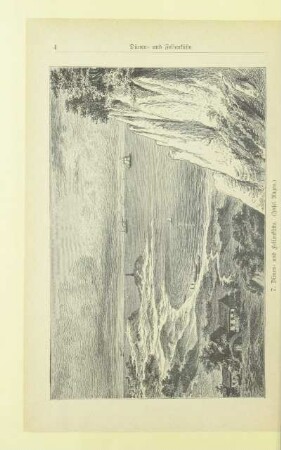 7. Dünen- und Felsenküste. (Insel Rügen.)