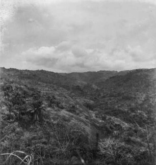 Talsenke (Kamerunreise 1937)