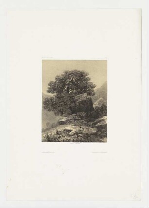 Vierwaldstättersee, Blatt 90 der Folge "Werke"