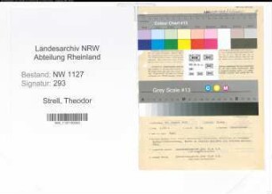 Entnazifizierung Theodor Strell , geb. 20.08.1892 (Verwaltungsangestellter)