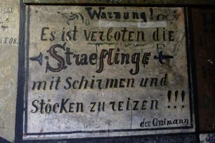 Raum 208 Ostwand 16