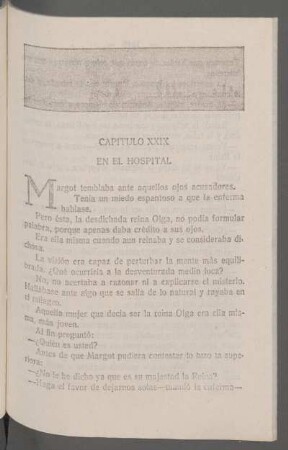 Capítulo XXIX - En el hospital