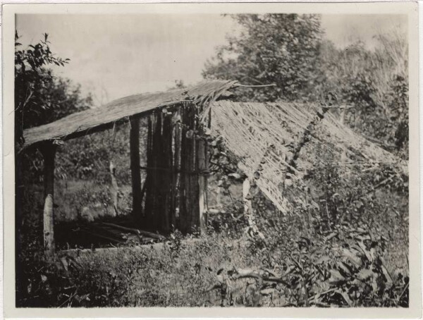 Totenhaus der Paressi im Wald bei Utiariti