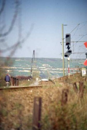 Lauffen Einfahrsignal