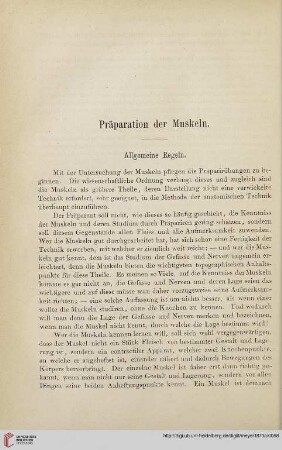 Präparation der Muskeln