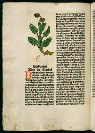38v-39r, Bethonien (53. Kapitel)