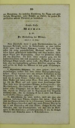 Sechste Klasse. Würmer