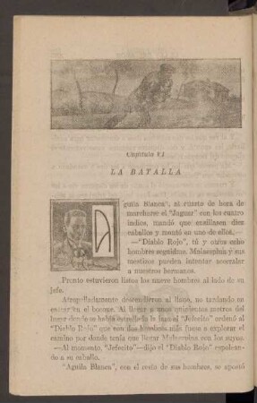 Capítulo VI - La batalla