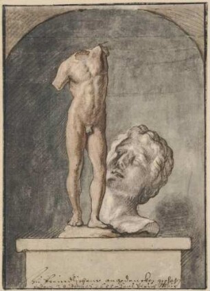 Männlicher Torso und Büste