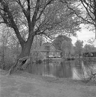 Mühlenteich: vorn Zaun: links Baum: hinten Mitte zwischen Bäumen Mühle: davor Lkw mit Anhänger: hinten rechts Schuppen