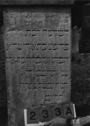 Grabstein 233 Material: Stein Zustand: leichte Verwitterungsspuren, Inschrift teilweise nicht mehr lesbar Maße HxBxT: 134x44x14 cm Beschreibung: Reihengrab, hebräische Inschrift auf der Vorderseite Symbolik: Strahlenkranz Besonderheit: --: Grabstein 233 A