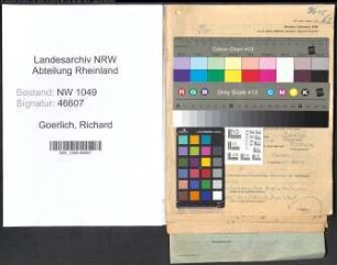 Entnazifizierung Richard Goerlich , geb. 03.08.1914 (Angestellter)