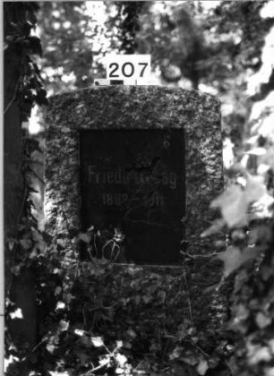 Grabstein 207 (Index: 100085300) Zustand: Schriftplatte beschädigt Maße HxBxT: 107x62x20 cm Beschreibung: Stele, Segmentbogenabschluß, Schriftplatte: Grabstein 207