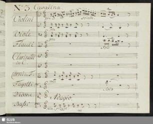 Cavatina: Povero cor tu palpiti