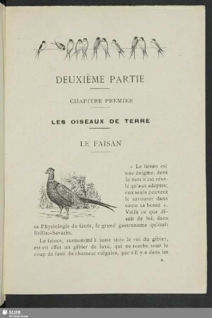 Deuxième partie