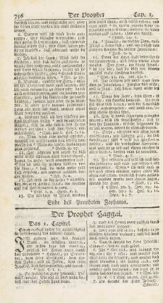 Der Prophet Haggai.