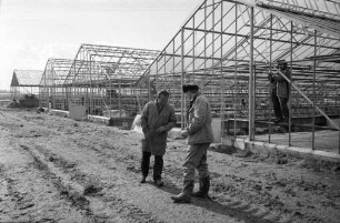 Verlegung des Gartenbaubetriebs Max Maguhn im Zusammenhang mit dem Bau der Südtangente.