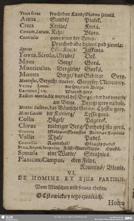 VI. De Homine Et Ejus Partibus