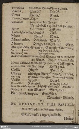 VI. De Homine Et Ejus Partibus
