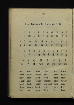 Die lateinische Druckschrift.