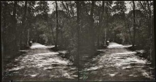 Paris. Bois de Boulogne