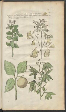 Appendix Ad Libros De Plantis