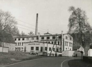 Deutschneudorf-Deutschkatharinenberg. Zico Leuchten GmbH (VEB Leuchtenbau Deutschneudorf). Straßenansicht