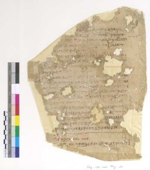 [Lectionary] : Fragm. copt. Pischoi Lect. Frag. 24