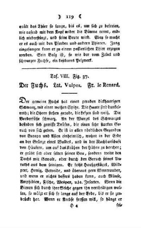 ¬Der¬ Fuchs : Taf. VIII, Fig. 37