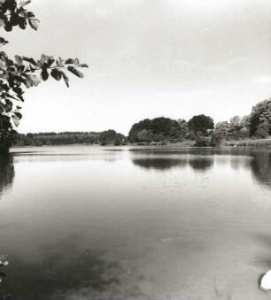 Nördlicher Landrücken. Dollgower See bei Dollgow östlich von Rheinsberg