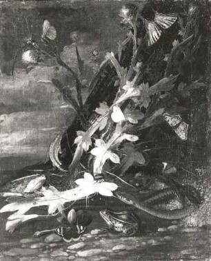 Sartory, J. M. : Stilleben. Blattpflanzen mit verschiedenen Tieren. Öl auf Leinwand; 49 x 38,5 cm, bezeichnet und datiert 1714. Privatbesitz