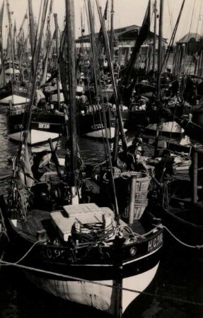 Fischerboote im Hafen, Norddeutsche Küste, Norddeutsche Küste