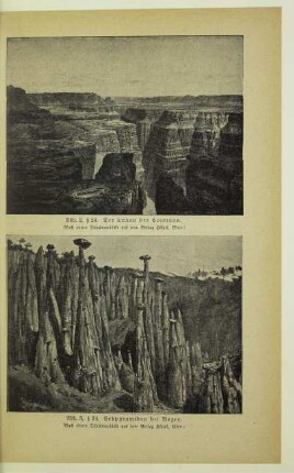 Der Cañon des Colorado