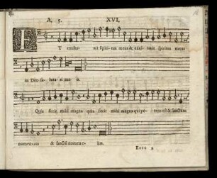 XVI. Et exultauit spiritus meus (Tertij Toni)