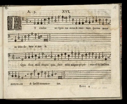XVI. Et exultauit spiritus meus (Tertij Toni)