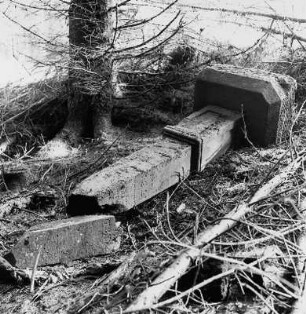 Bildstock; Oberzent, Eduardstal 2 (Wüstung Galmbach)