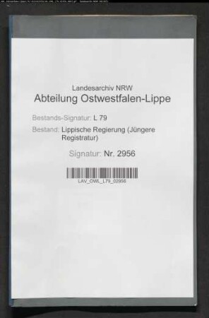 Bau einer Badeanstalt in Lage