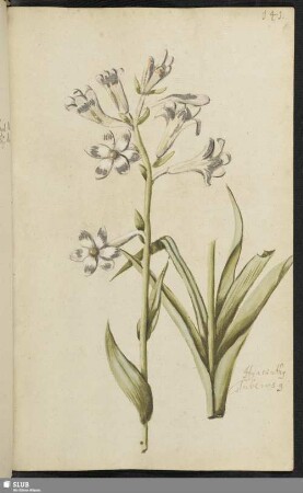 [Blatt 141-159]