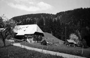 Schwarzwaldhof an der B 31 bei Breitnau mit dem Weg im Vordergrund