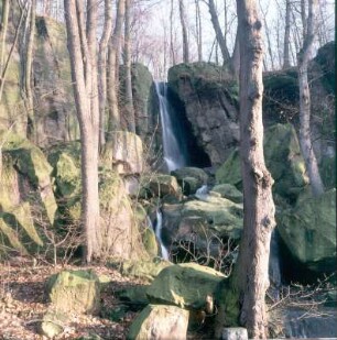Langenhennersdorfer Bach. Wasserfall (9 m Höhenunterschied) an der Mündung in die Gottleuba. Ansicht von der Talseite : Langenhennersdorf. Langenhennersdorfer Bach. Wasserfall (9 m Höhenunterschied) an der Mündung in die Gottleuba. Ansicht von der Talseite
