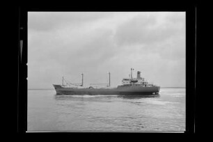 Aspia (1974), Zementtransportschiff, Deutsche Afrika-Linie, Hamburg, Kiel, Panama, Bau-Nr. 705
