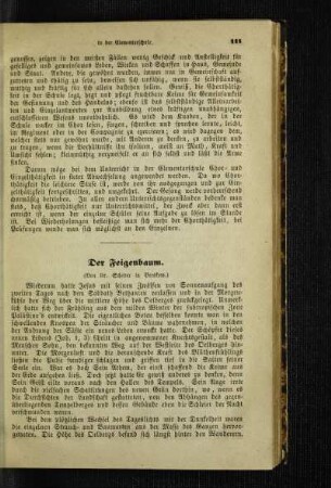 ¬Der¬ Feigenbaum