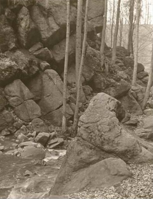 Mittelsächsisches Bergland. Rochsburg. Brausetal. Felsriegel an der Mündung ins Muldetal. Cordieritgneis-Blöcke