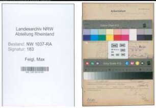 Entnazifizierung Max Feigl , geb. 13.10.1902 (Postschaffner)