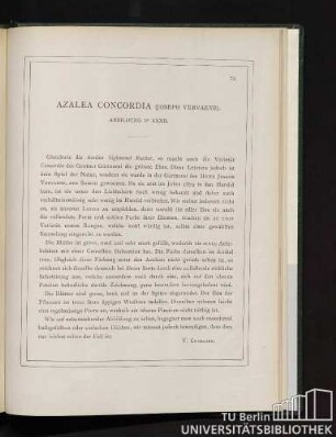 Azalea Concordia.