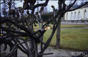 Potsdam, Park Sanssouci, Parterre Bildergalerie.