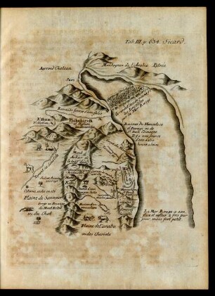 Tab. III. p. 634. Sicard.